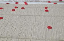 Casa O Arco Alojamento Local - Photo 4