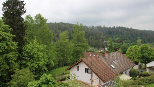 Friedenweiler Am Sommerberg by Kuckucksnester - Foto 5, Garden view