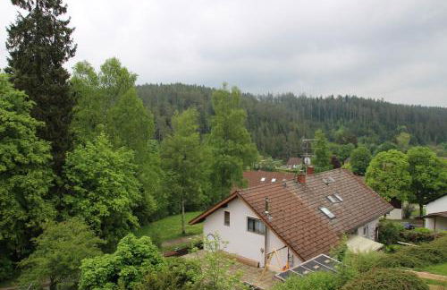 Friedenweiler Am Sommerberg by Kuckucksnester - Foto 5