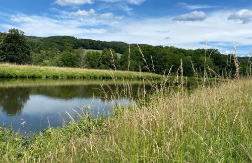Ferienhaus "Am Stauwerk" - Foto 17