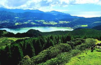 Penthouse Furnas - Photo 22