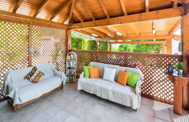 Flor da Laranja - Foto 34