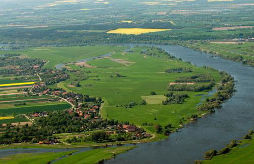 Ferienwohnung am Elbdeich - Foto 5