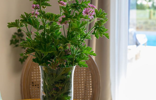 Kannas Mani-Luxury Suites- Adults friendly 14+ - Foto 15