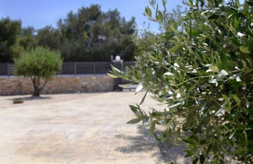 Aliki Sweet Home - Photo 18