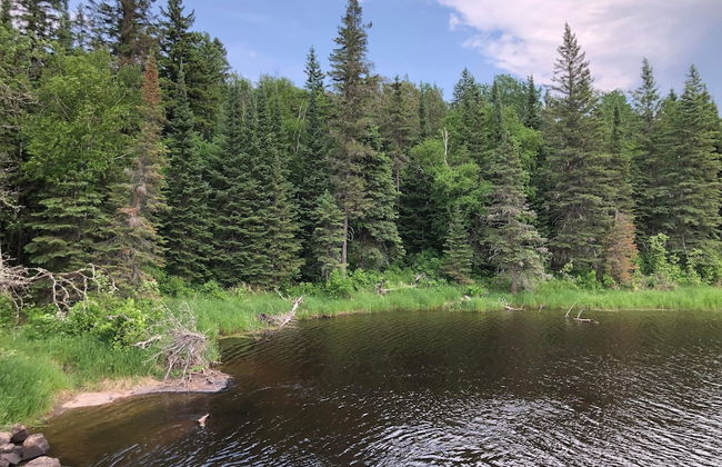 Betula Lake Resort - Foto 32