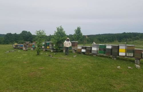 House Jelena&Marija - Foto 11