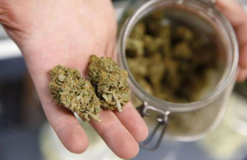 The Ganja Getaway - Foto 17