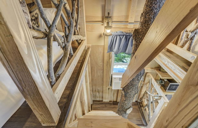 Tree Eagles Nest - Foto 20