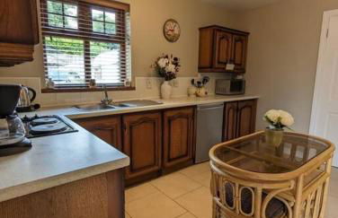 TeachinTom - Foto 18