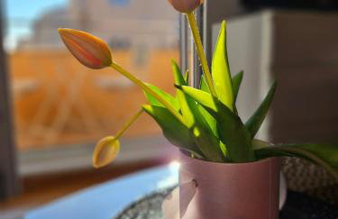 Apartment Moreno - Foto 4