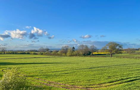 Archers Cottage - Foto 27