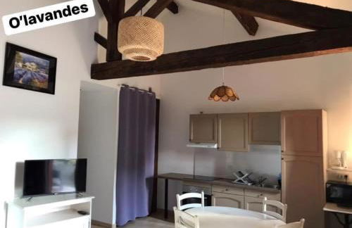 O’gîtes des colombes - Foto 19