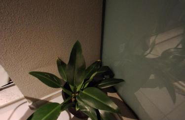 Cafofinho Decor - Foto 25