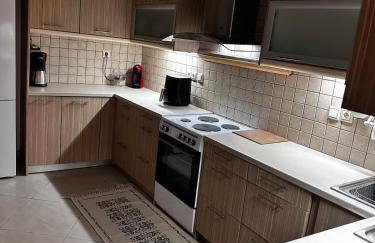 Mesta Diamond - Photo 24