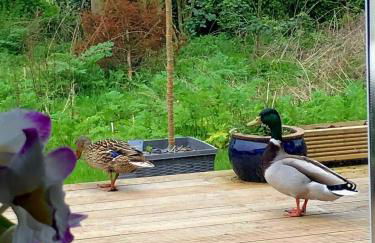 Woodland View Retreat - Luxury Stay, Endless Fun - Foto 56