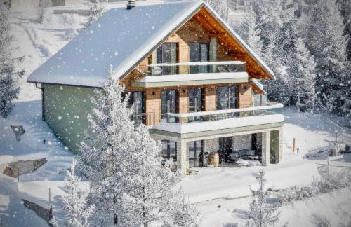 Villa Stella Verde - Wellness Villa with a swimming pool, hot tub and sauna - Foto 3