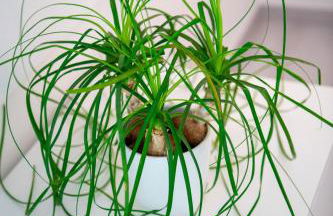 YourHome - Casa Ivi Positano - Photo 67