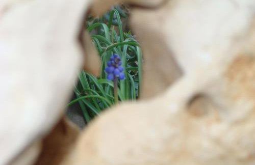 Apartmani Nena - Foto 14