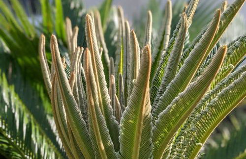 Stylish Villa Retreat with Pool - Photo 37