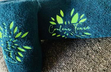 Gite Couleur Terre à 10MN de Gordes - Foto 42