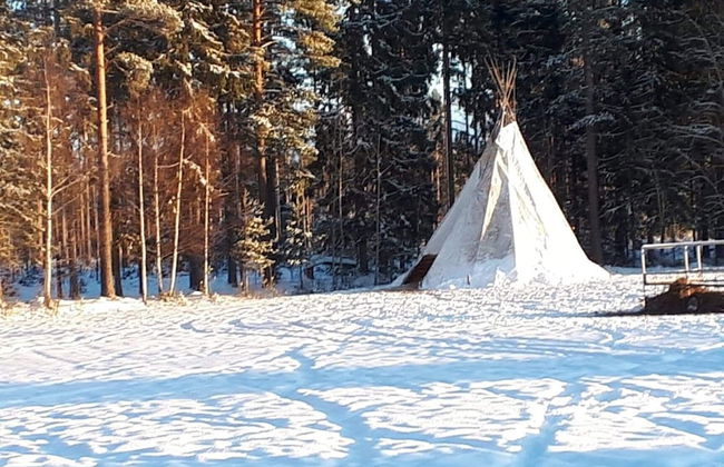 Tiny hut in the Forest Overlooking the River - Photo 15