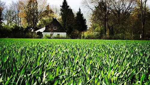 Casa Angres - Lüneburger Heide - Foto 2