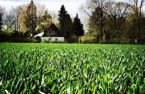 Casa Angres - Lüneburger Heide - Foto 2