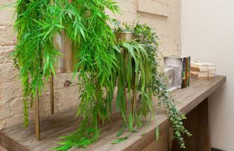 Dollys Downtown Loft Knoxville - Photo 38