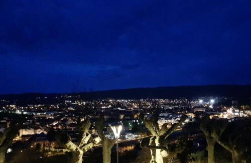 Ptit Montciel sur les hauteurs de Lons - Foto 10