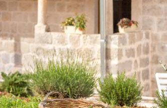 Olive Garden - Foto 28