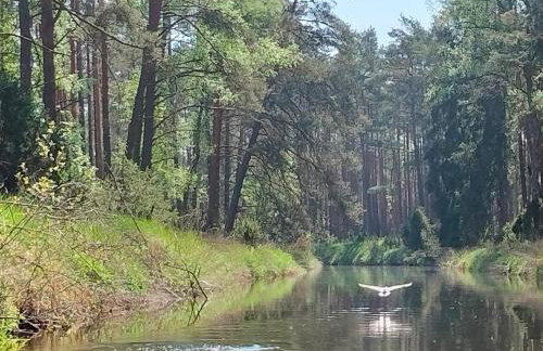 Leśna Chata kuracyjna nad rzeką z sauną w Borach Tucholskich - Foto 24
