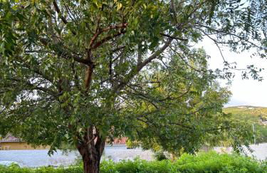 Flat - Condomínio Brisa da Serra - Gravatá - Foto 26