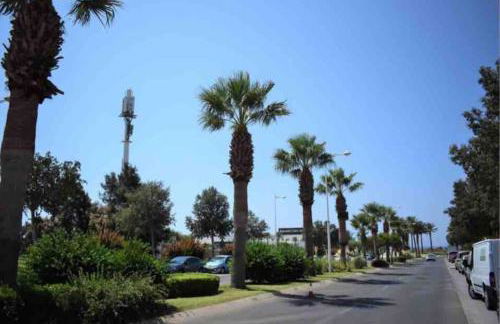 El Toyo Cactus - Foto 25