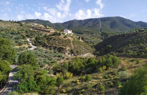 Cortijo Don Enrique - Foto 21