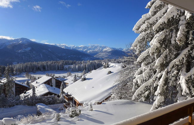 Impéria 10 - Foto 24