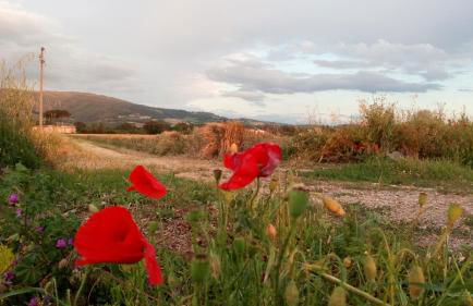 Casa "Le tre Muse" - Foto 41