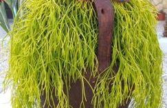 Casa Uldina - Foto 30