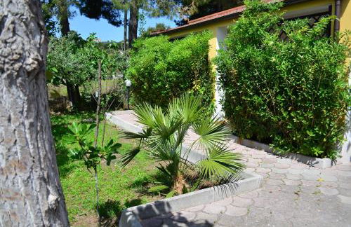 Residence Rendez Vous - Foto 22