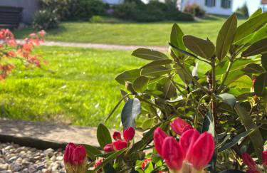 Tawerna Pod Kotwicą pokoje i domy wakacyjne - Foto 9