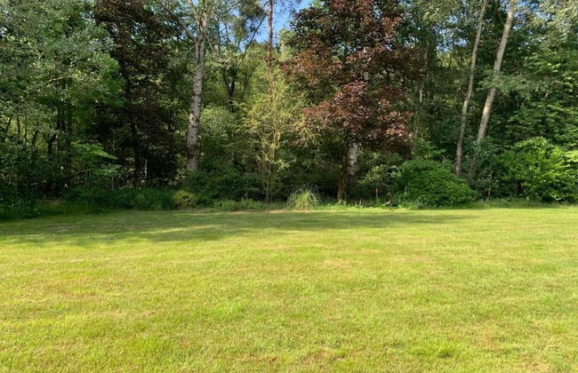 Chalet in Holiday Park With Private Terrace - Photo 29