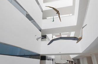 Aparthotel Fontanellas Playa - Photo 74