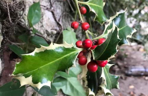 Casa Gramapa - Foto 17