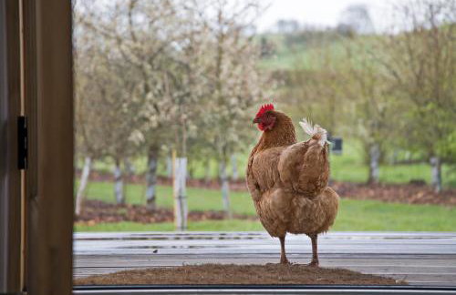 Nether Farm Roundhouses - Henmore Water & Sturston Winds with hot tubs - Bradley Wood no hot tub - Foto 41