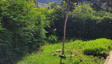 Trocito de Paraíso en la Sierra Espadán - Foto 4, Garden