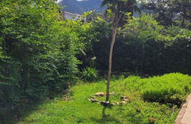 Trocito de Paraíso en la Sierra Espadán - Foto 4