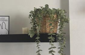 Mirador de Cabopino , Townhouse bij Cabopino Beach - Foto 18