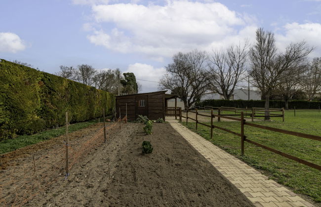 L'Aquillon - Foto 15