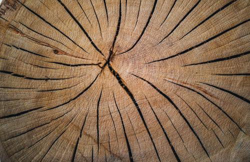 Aparthotel Bacher - Photo 10