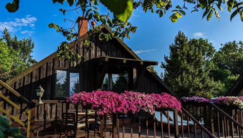 Siedlisko Dzika Kaczka - Foto 2